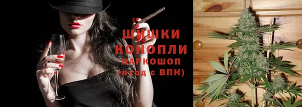 стафф Верхний Тагил