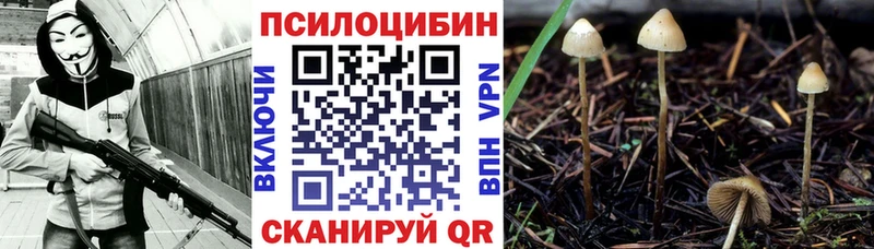 Псилоцибиновые грибы Cubensis  Артём 